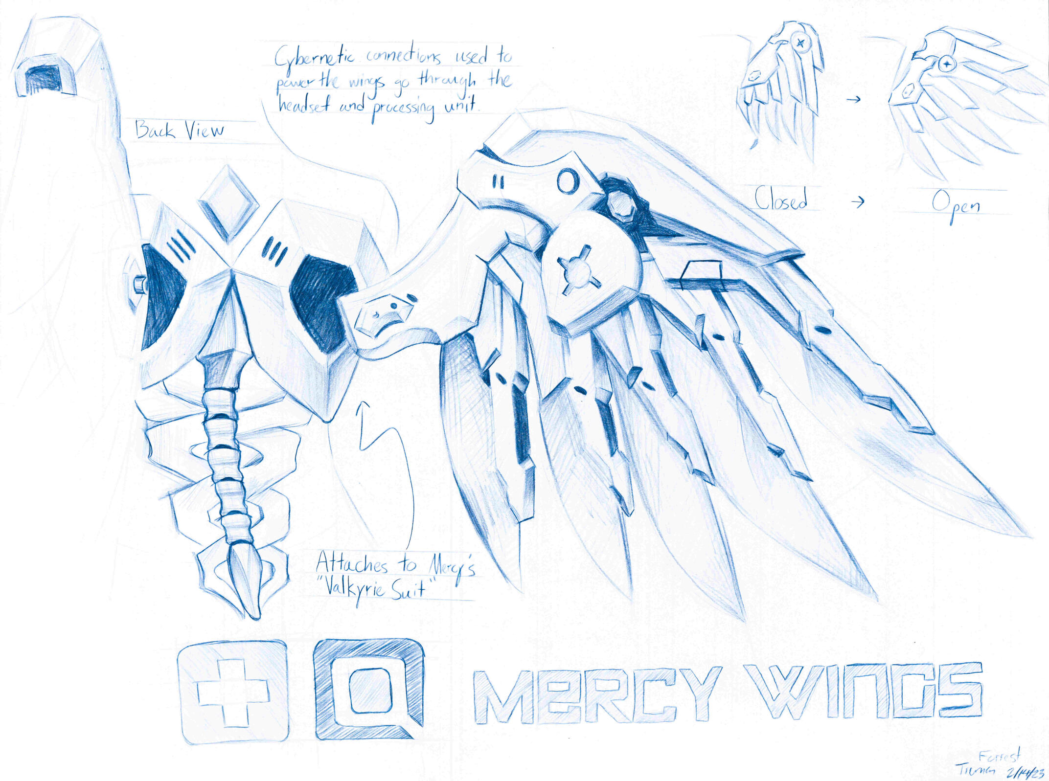 Mercy Wings; Febraury 2023